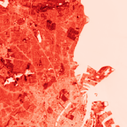 ../_images/cmap-reds-img.png